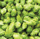 Hop Cones (Hop Flowers / Leaf Hops) Supplied Vacuum Packed in Heavy Duty Resealable Pouch - Ernest 50g