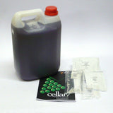 Cellar 7 by Youngs 30 Bottle 7 Day Wine Kit  - Raspberry & Cassis